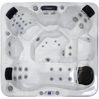 Avalon EC-849L hot tubs for sale in Billings