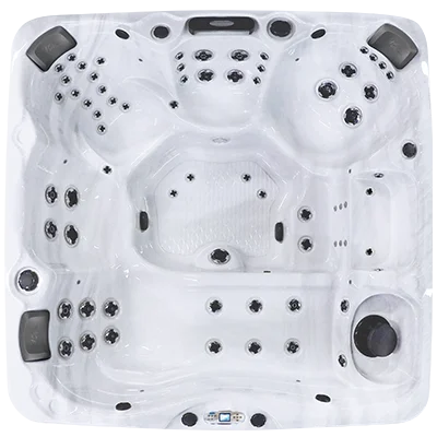 Avalon EC-867L hot tubs for sale in Billings